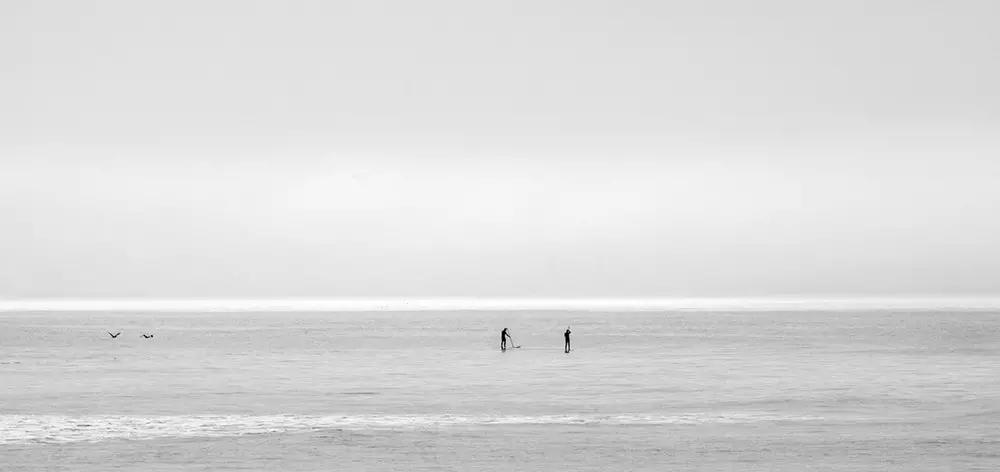 公链三剑客的元年之战