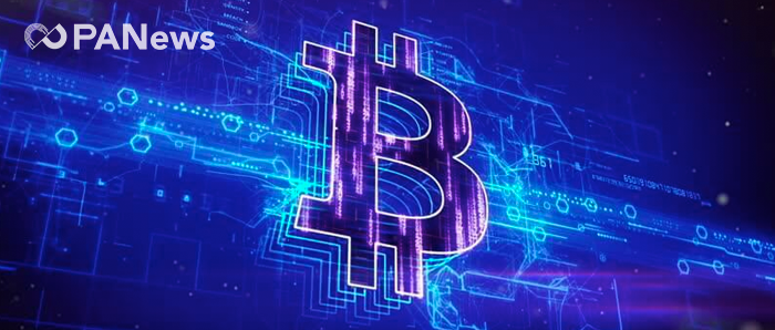丰水期是矿工的“救心丸”吗？我们找到了它的规律