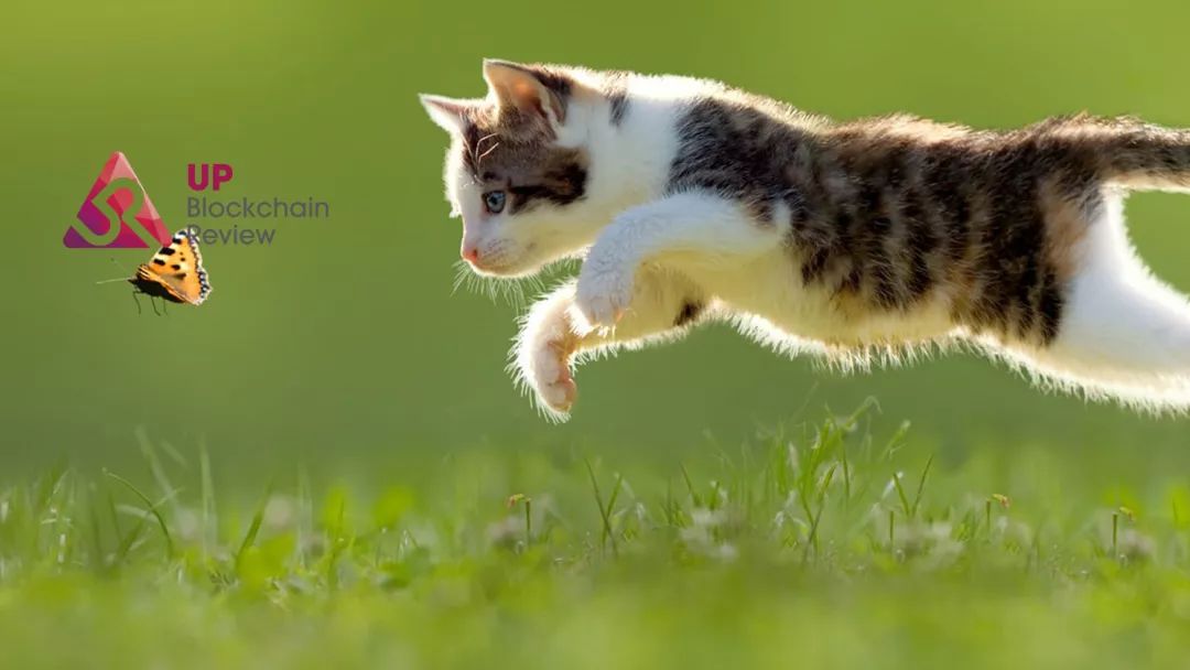 猫来了！反洗钱组织盯上数字货币交易