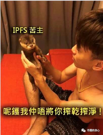 前几年在工地搬砖的币少爷，靠诈骗起家后要来大陆割韭菜！