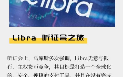 Libra 听证会之旅
