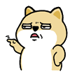 我想往ZB老板头上浇瓶水