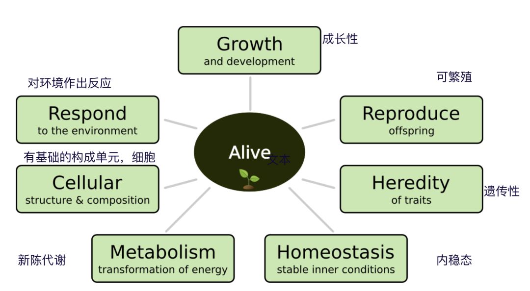 为什么说比特币是一种生命体？