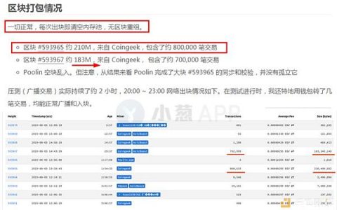 BSV"三链并存"怪象：是崩溃、分裂还是大惊小怪？