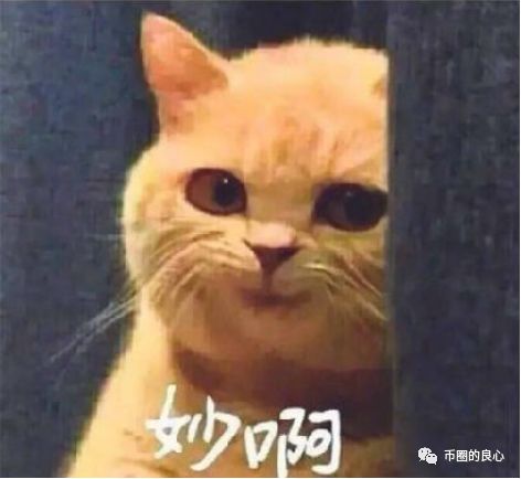山寨B站开盘就割韭菜，贝尔链新计划曝光！