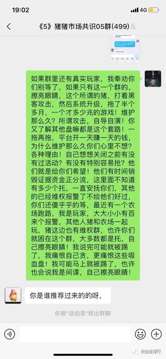 【曝光】“华登区块狗”“区块猫”“十二生肖”全崩盘，“比特猪”也正式被立案调查！！！