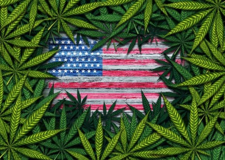 大麻行业需要区块链