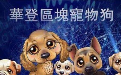 投资“区块狗”“刚玩两天就崩了”