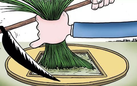 数币中国，你在割韭花吗？
