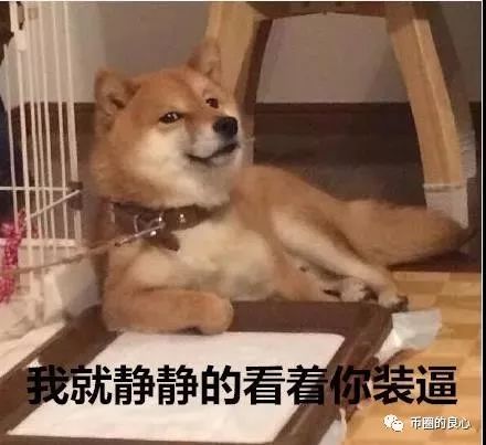 彻底凉了？兼职学生参加矿业峰会居然被拖欠工资！