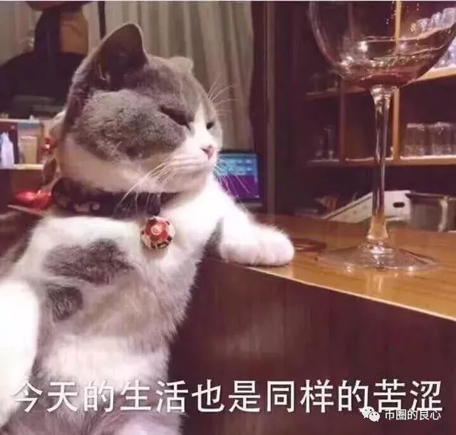 彻底凉了？兼职学生参加矿业峰会居然被拖欠工资！
