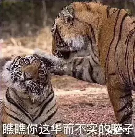 跑路的PLUS和ICC又跑回来为祖国母亲献上生日贺礼？
