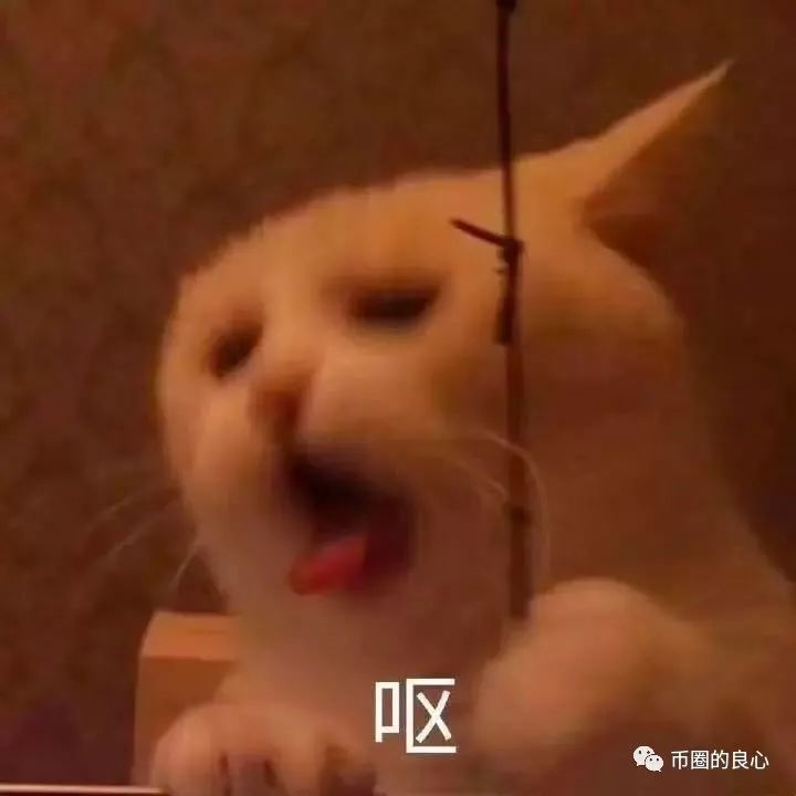 跑路的PLUS和ICC又跑回来为祖国母亲献上生日贺礼？
