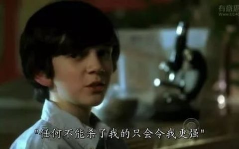 Newton牛顿交易所：改革还是开割？