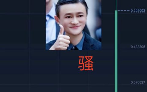 妖币WXT两小时内涨跌30倍，有人赚了17万还维权&DCEP假币流出，竟有人私募！？