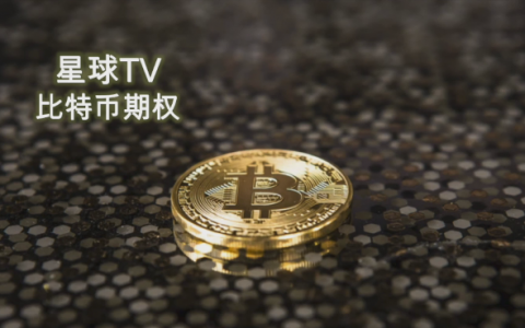 比特币期权上手指南：5分钟教你锁定利润