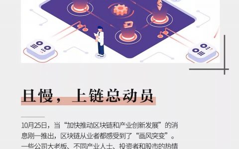 上链总动员，且慢