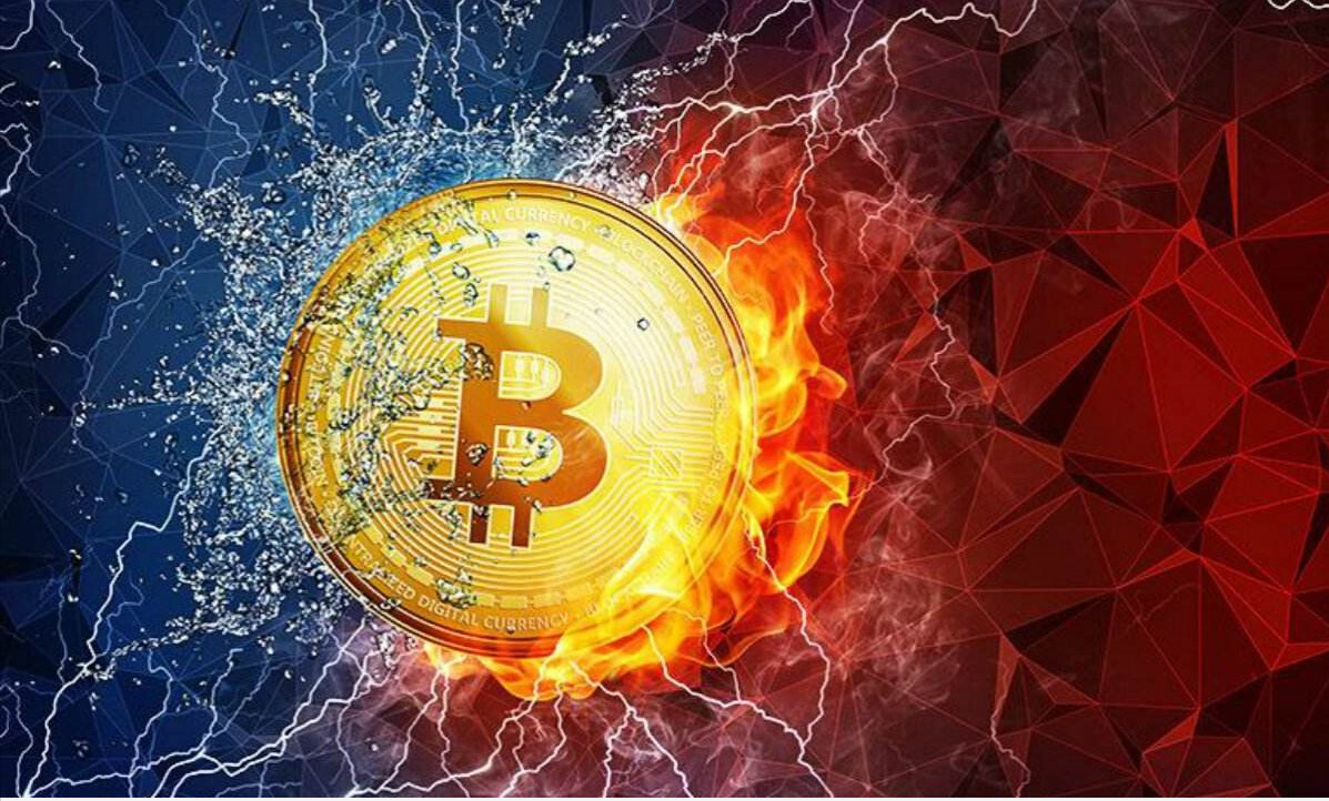 烤猫团队前成员：投资比特币是当前最好的选择