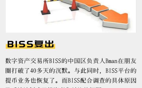 BISS复出