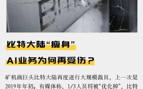 比特大陆“瘦身” AI业务为何再受伤？