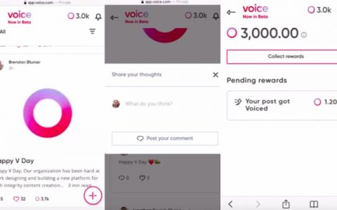 被BM称为「将改变行业格局的应用」Voice了解一下