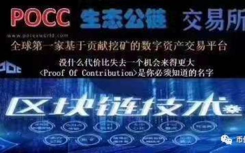 POCC皮皮虾链和POCT骗局，团队造假，白皮书是本科生论文模板，现又起云矿机模式收割