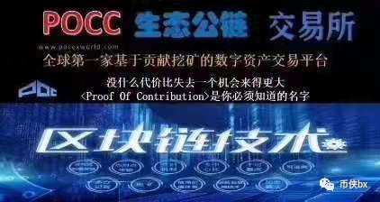 POCC皮皮虾链和POCT骗局，团队造假，白皮书是本科生论文模板，现又起云矿机模式收割
