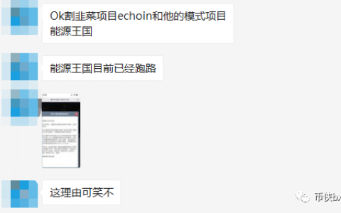 OKEx的IEO项目EChoin模式能源王国跑路，理由竟又是由于疫情？
