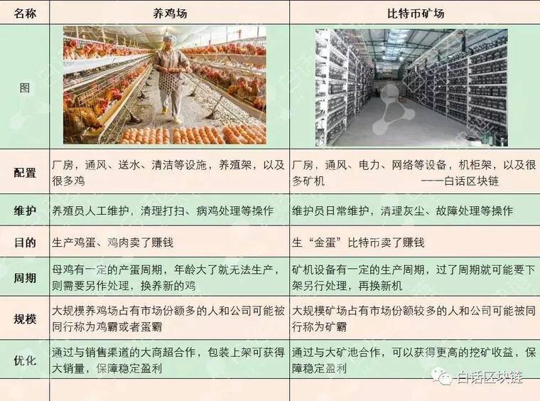 比特币暴跌，又信它是老鼠药了？这个"00后"白手起家到现在身家万亿