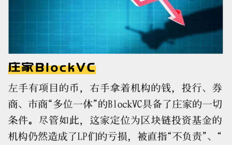 庄家BlockVC