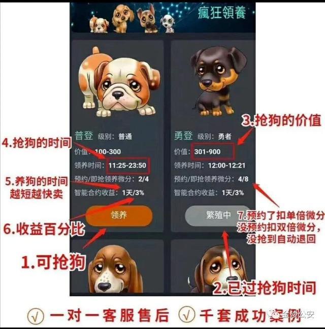 手机“养狗” 稳赚不赔？警方破获华登区块狗诈骗传销案
