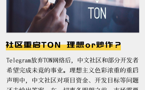 社区重启TON，理想or炒作？
