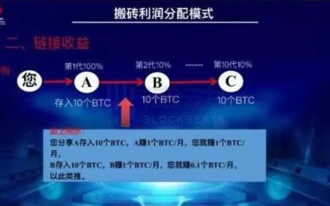 Plustoken 400 亿资金盘受害者：从月入 150 万，到不愿相信