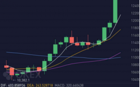 美版支付宝PayPal 和电商巨头Shopify等纷纷布局，比特币十月大涨27.55%