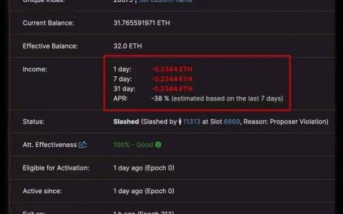围观 ETH 2.0 的第一个倒霉蛋