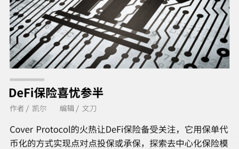 DeFi 保险喜忧参半