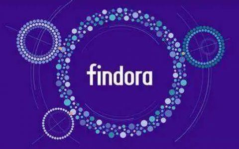 Findora 战略升级背后：离职员工的一口反咬