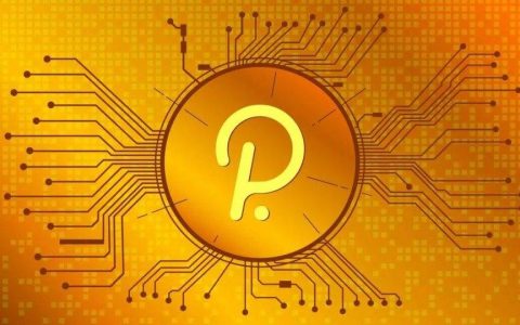 波卡已是第二大 DeFi 生态系统，进展如火如荼，2021 年值得期待？
