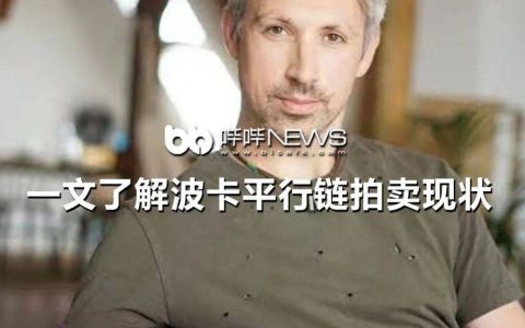 一文了解波卡平行链拍卖现状