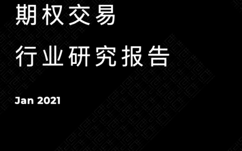 2020 年度数字资产期权交易行业研究报告