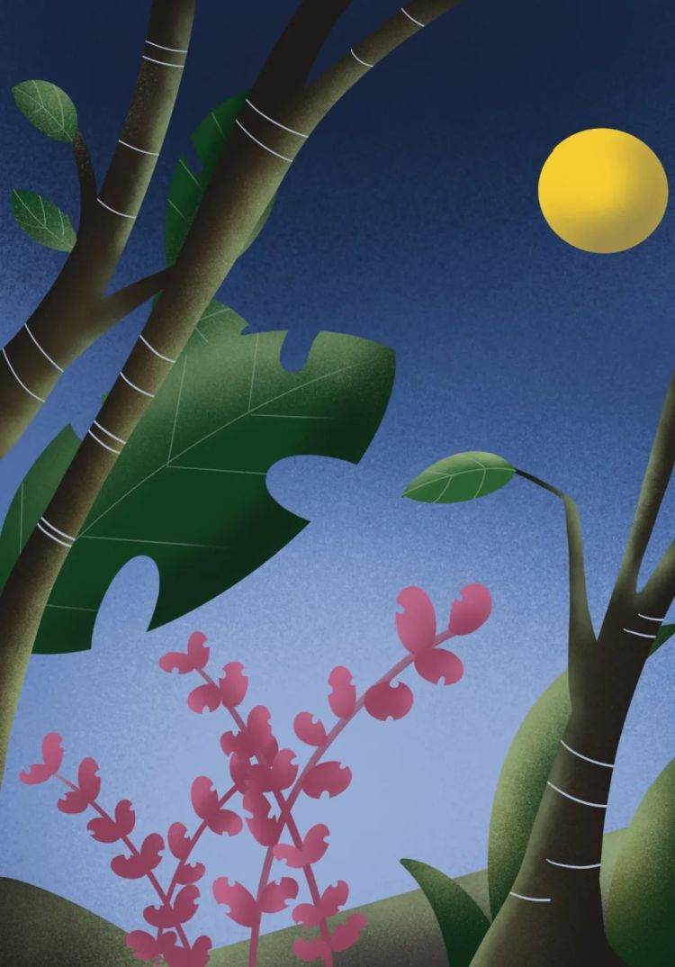 http://bit.ly/moonandleaves