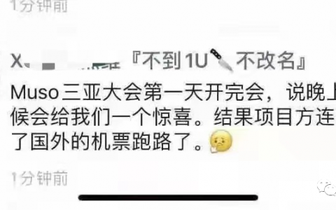 【Muso公链】说的开大会一起暴富，操盘手怎么连夜跑路了