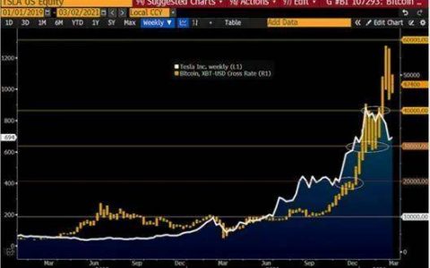 《彭博加密展望》三月报告全文：比特币让黄金显得“多余”?