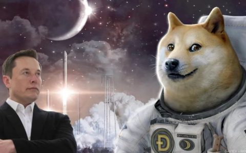 狗狗币创始人还在打工，我却提前赚到了养老的钱