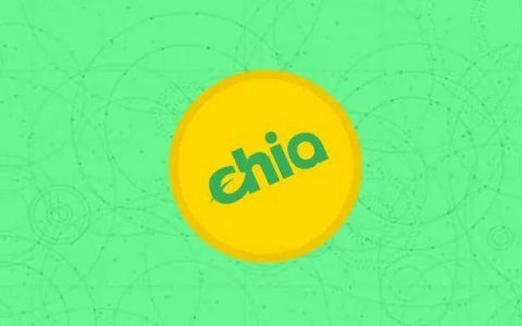 马斯克喊单 Chia ？现在是入场挖矿的时机吗？