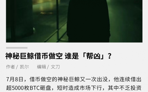 神秘巨鲸借币做空，谁是“帮凶”？