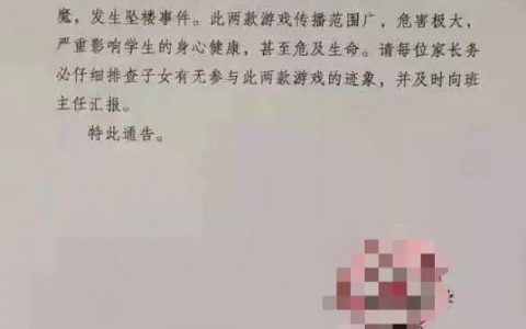 传一学校警示元宇宙游戏危害大，元宇宙会成为精神鸦片吗？