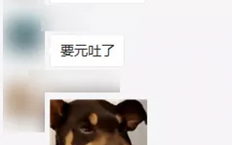 别TM元宇宙了，头一波韭菜已经被割惨了。